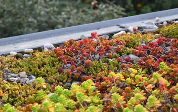 the cost of Longformacus green roof installation