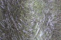 Longformacus fibreglass roof work